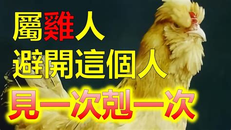 雞跟猴|【屬雞屬猴】屬雞屬猴天生一對？揭密屬相愛情、事業、財運大解。